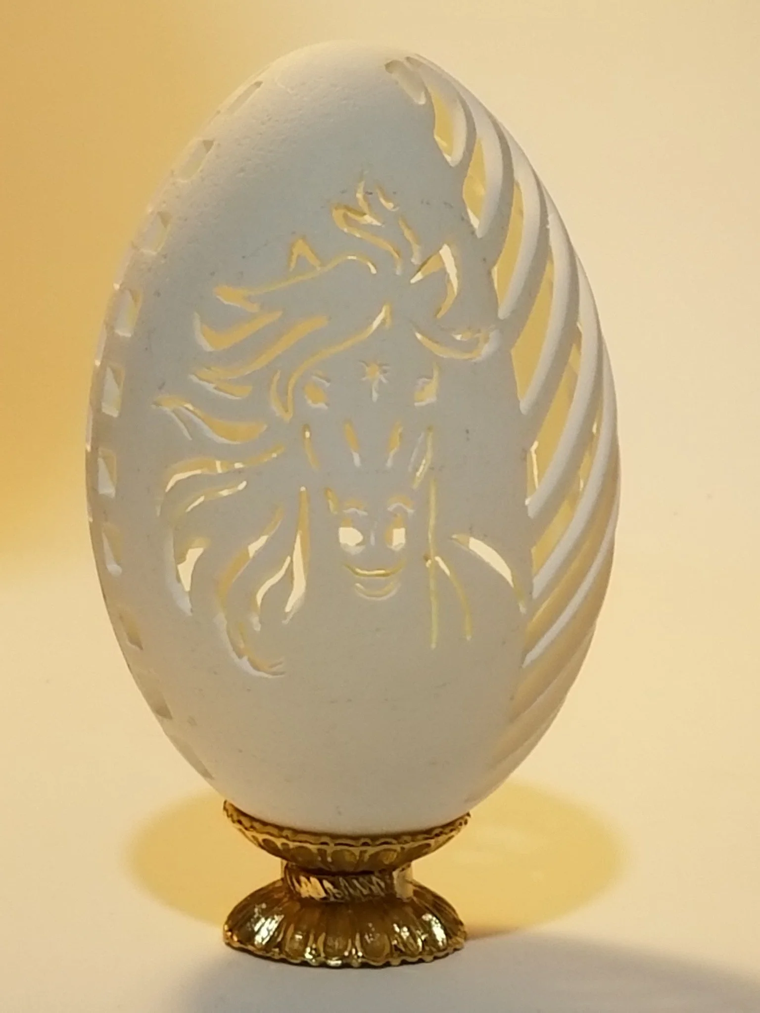 Amazing Emu Egg For Egg Carvers 7 Amazing Emu Egg