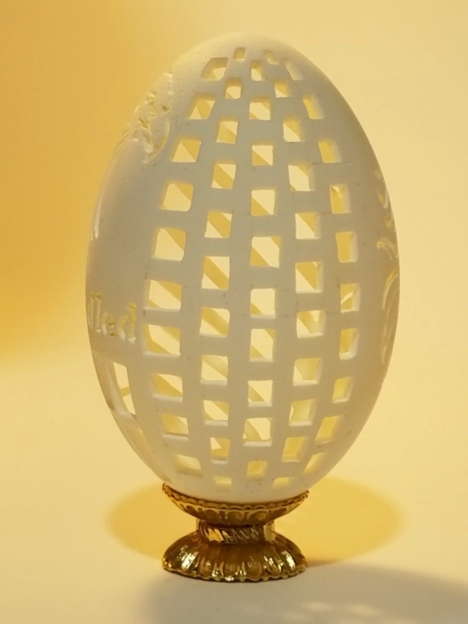 Amazing Emu Egg For Egg Carvers 9 Amazing Emu Egg